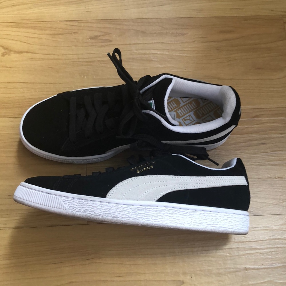 Black puma